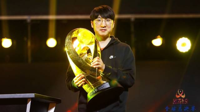 仅提供了多 仅提供了多